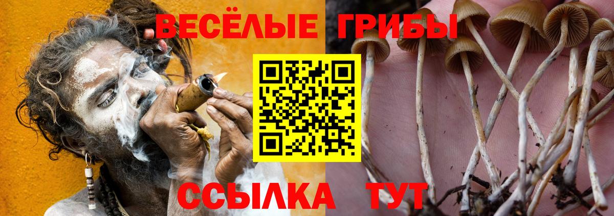 Псилоцибиновые грибы Cubensis  Псилоцибиновые грибы GOLDEN TEACHER  Жигулёвск  Вход с VPN 